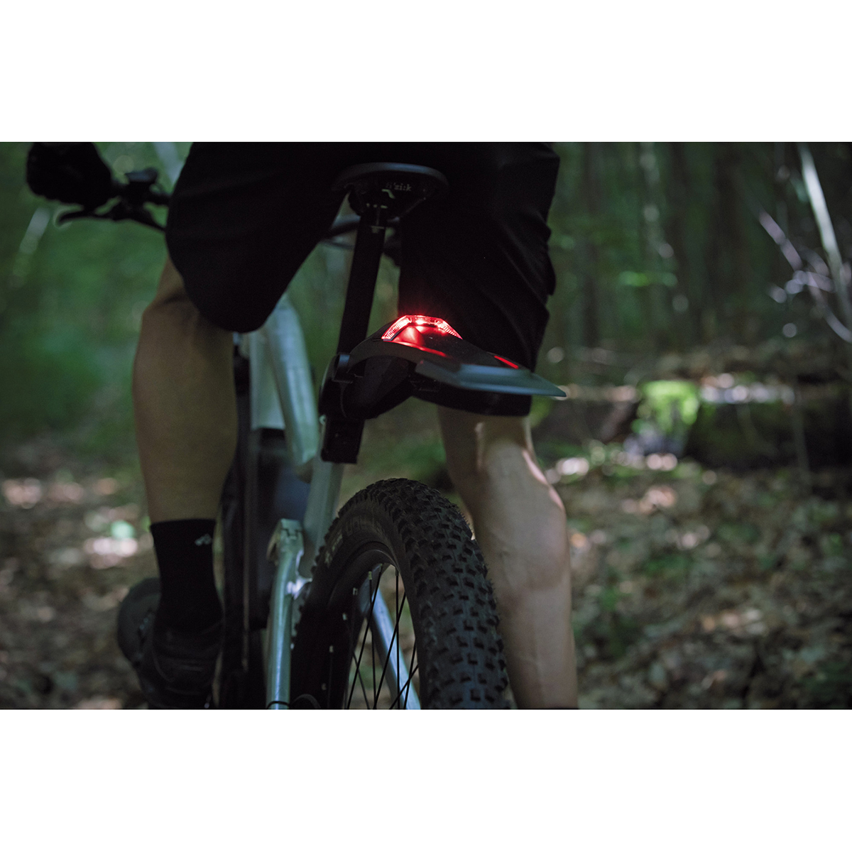 Monkey Fender Set MTB RECHARGE with Rechargeable Rear Light