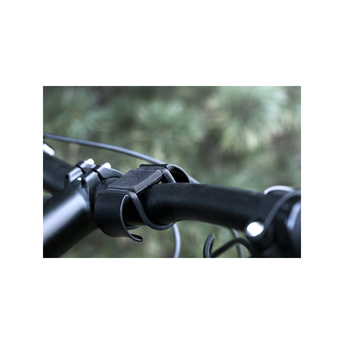 Bicycle Mount