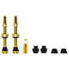 Tubeless Valve Kit V2 MTB Road