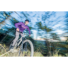 SHARP JERSEY Langarm MTB Bikeshirt
