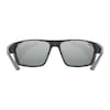 SPORTSTYLE 233P Sportbrille 