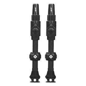 Big Bore Lite Tubeless ventiel