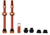 V2 MTB Road kit valve tubeless