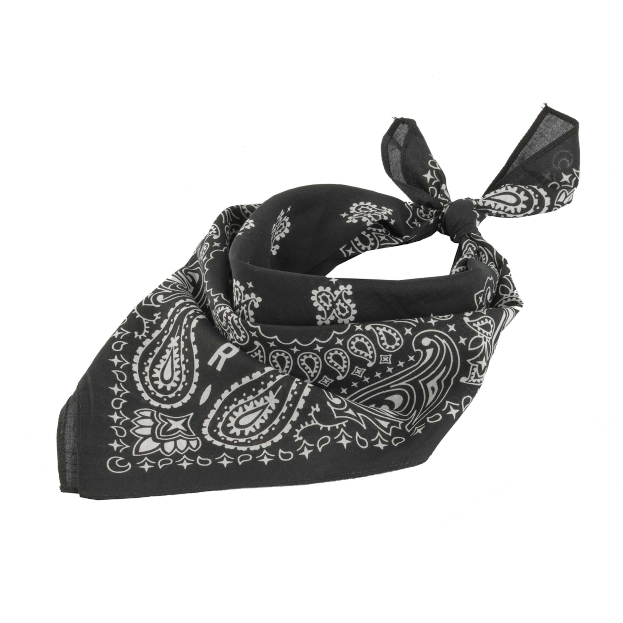 Explorer Bandana