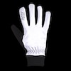 ROAD EUROTEX II HV Winterhandschuhe