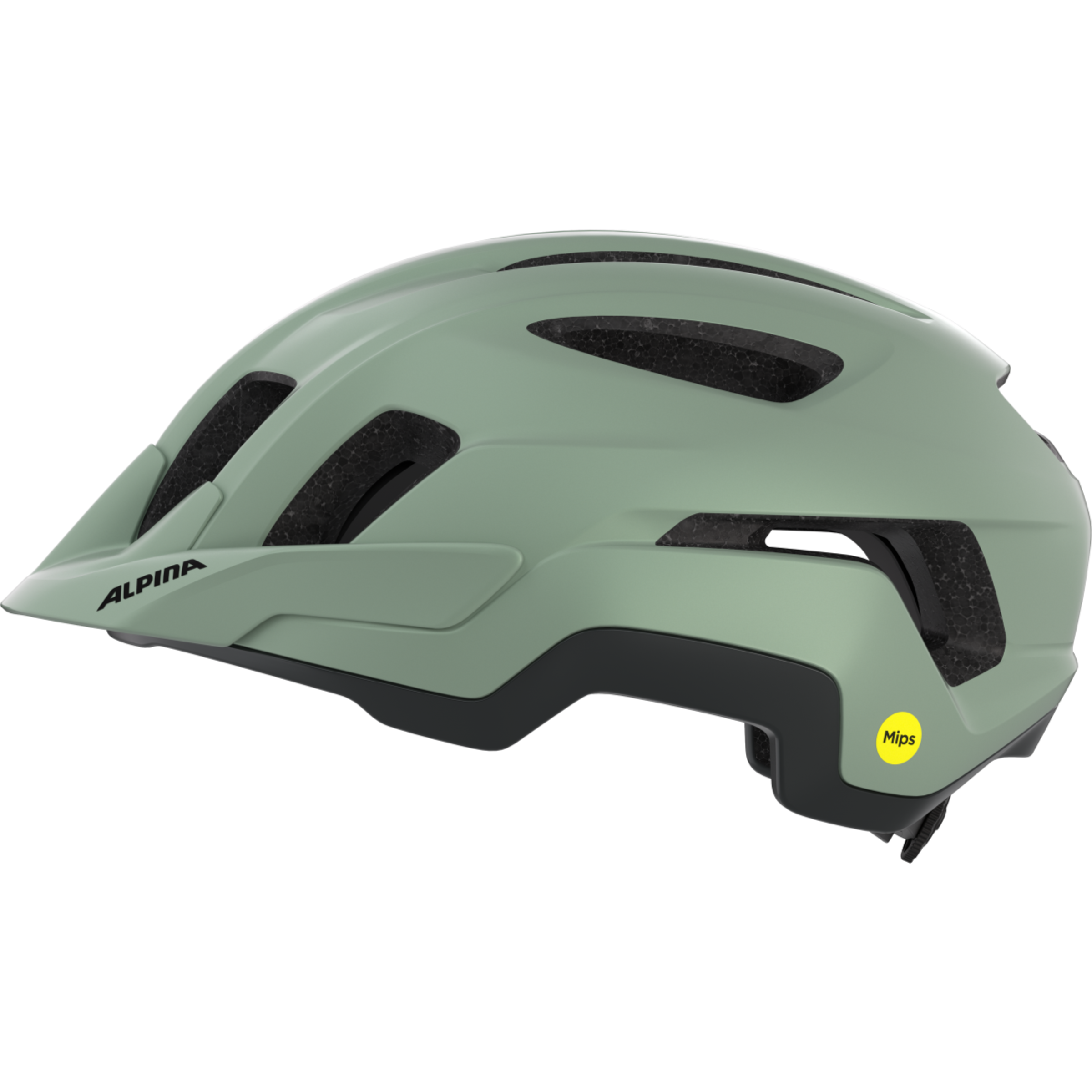 PARANUS MIPS fietshelm 