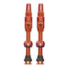 Big Bore Lite Tubeless Ventil
