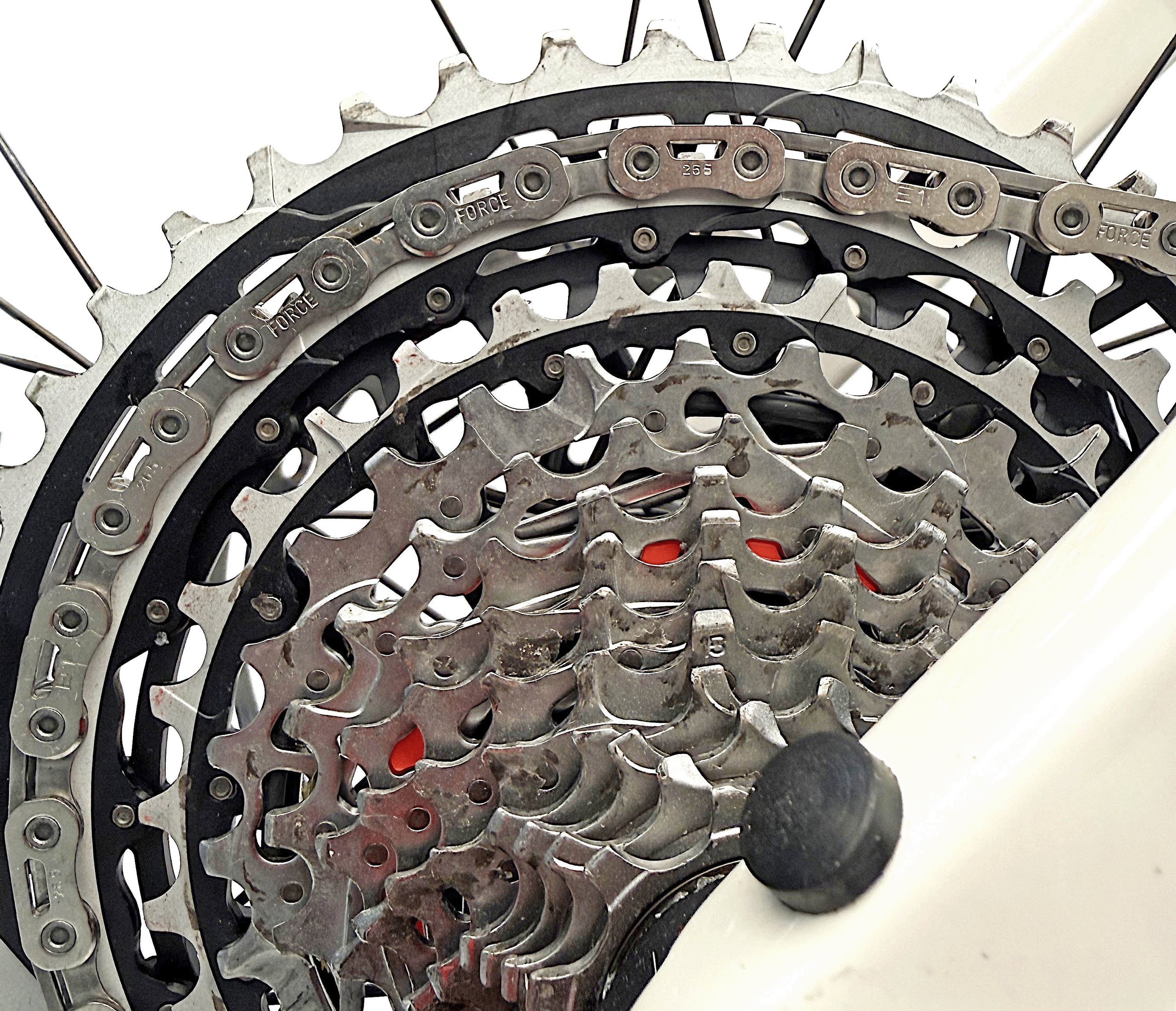 Backroad Force AXS Ausstellungsbike Größe : M/L (B-Ware) 