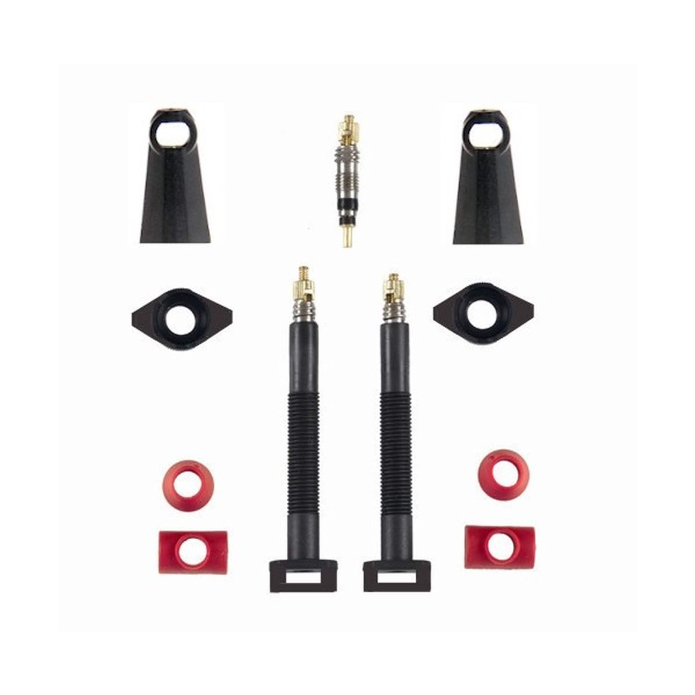 Carbonaria TL valve tubeless SV carbone