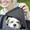 DOGGY SUNSHADE Sonnenschutz