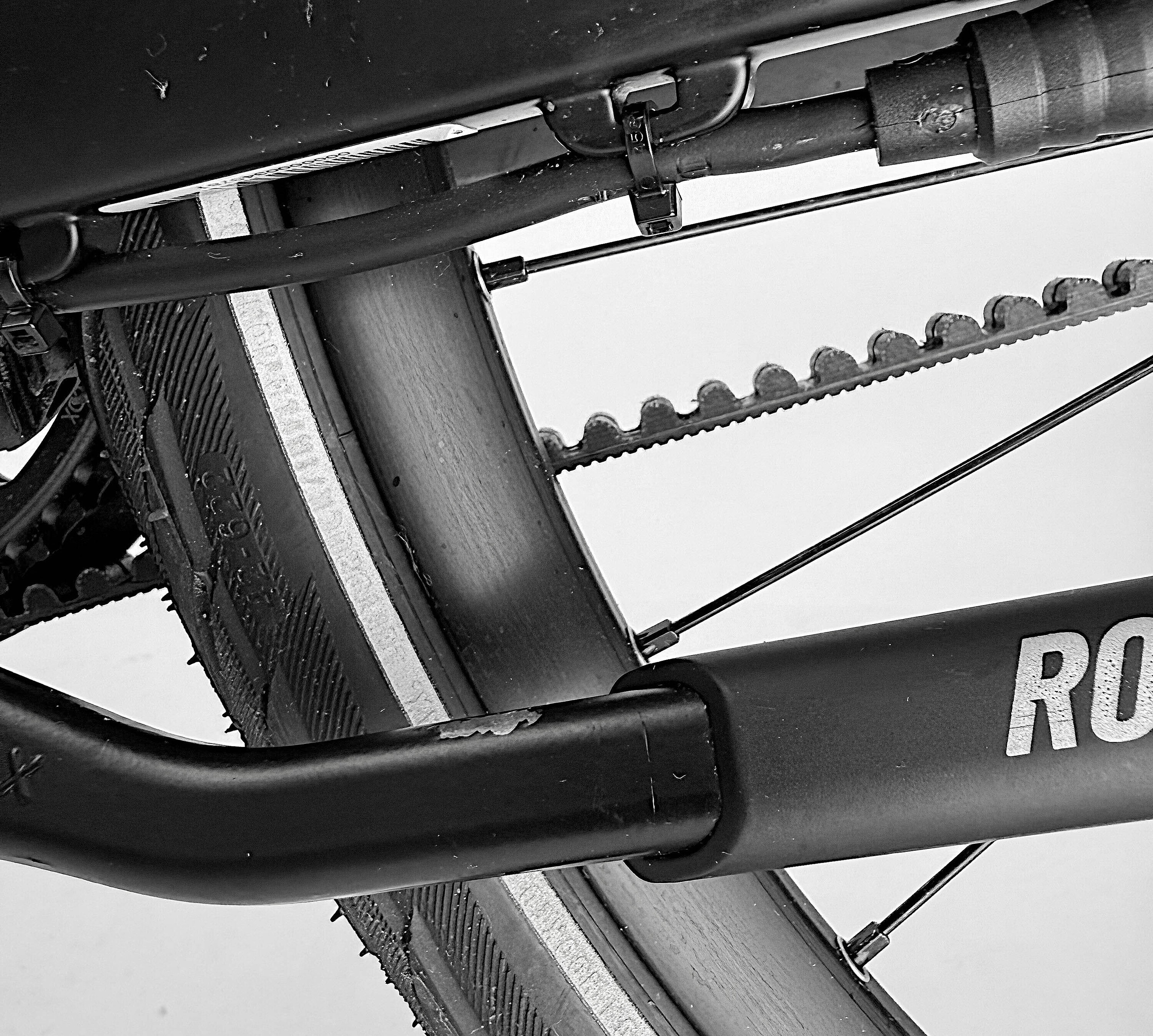 Sneak Plus EQ Testbike Größe : L (B-Ware)