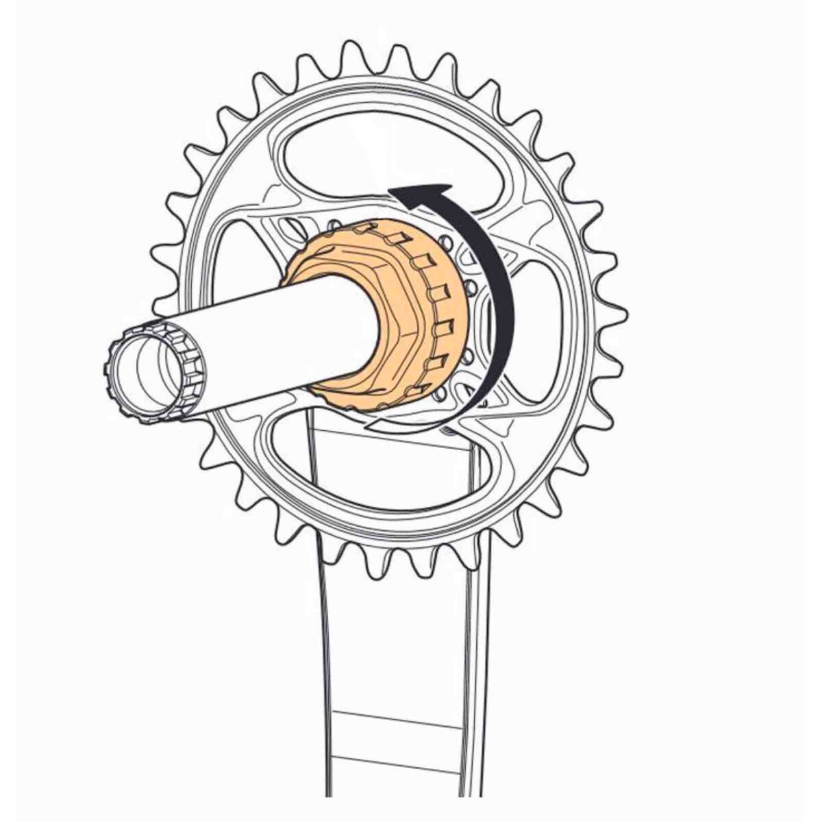 Shimano Kettenblatt-Montagewerkzeug TL-FC41 für 12-fach MTB Kurbeln, Schwarz, One Size