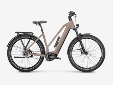 Mayor Plus 2