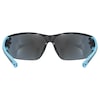 SPORTSTYLE 204 lunettes