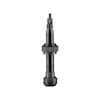 Tubeless Ventile Presta/Sclaverand (SV) 2 Stück