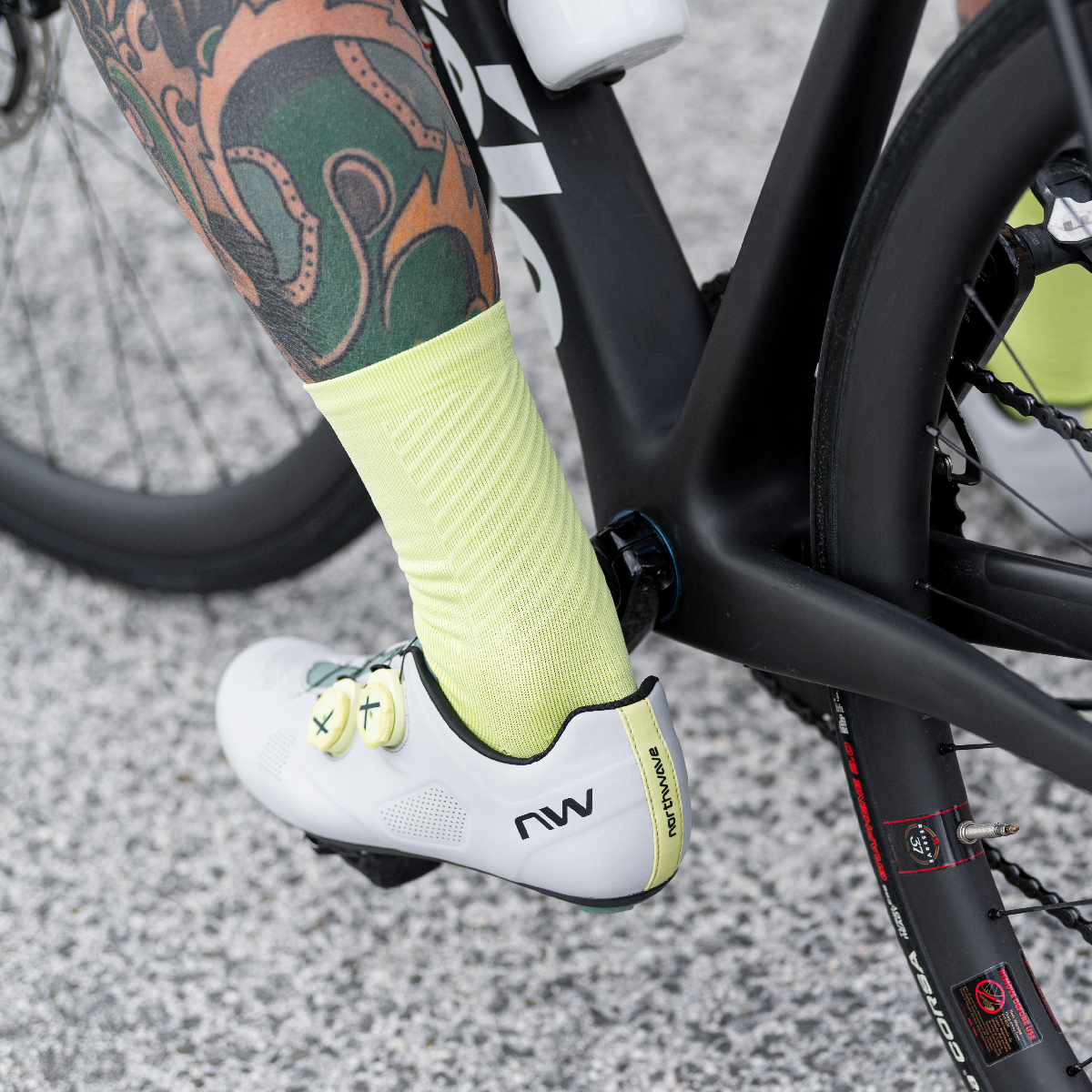 REVOLUTION chaussures route