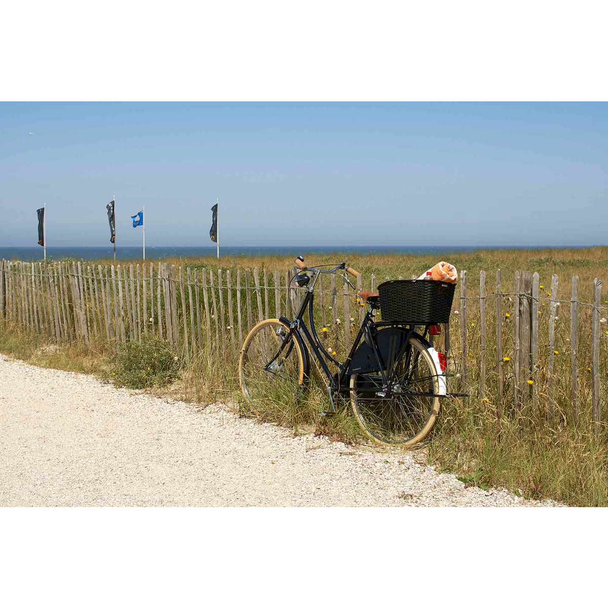 WEAVE WP Rear Bike Basket