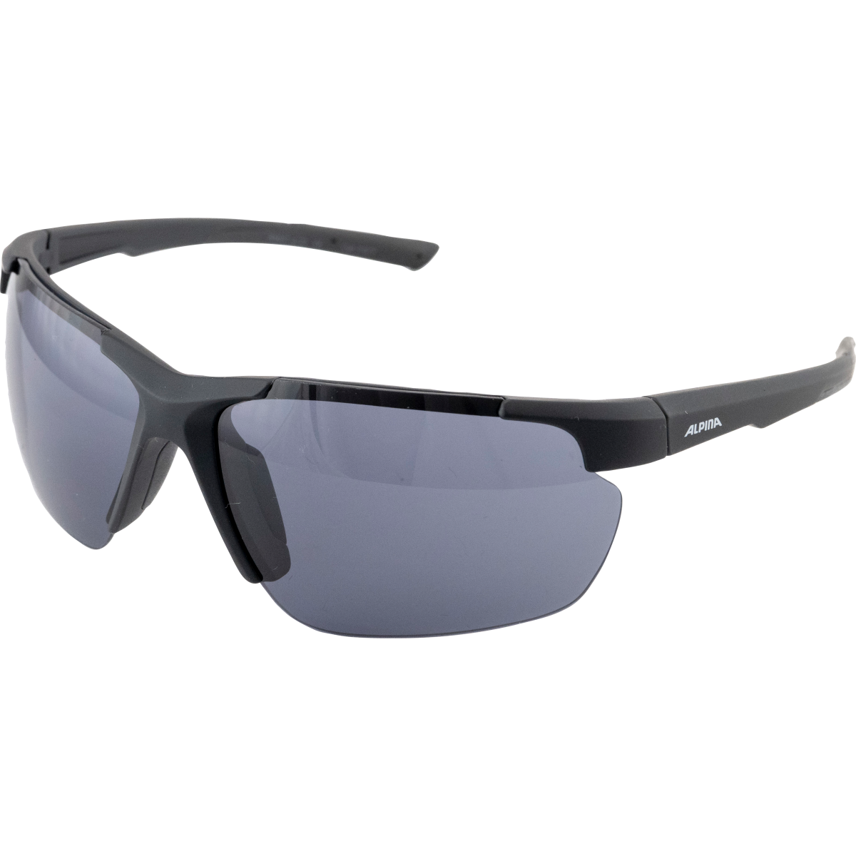 ALPINA DEFEY HR Sportbrille