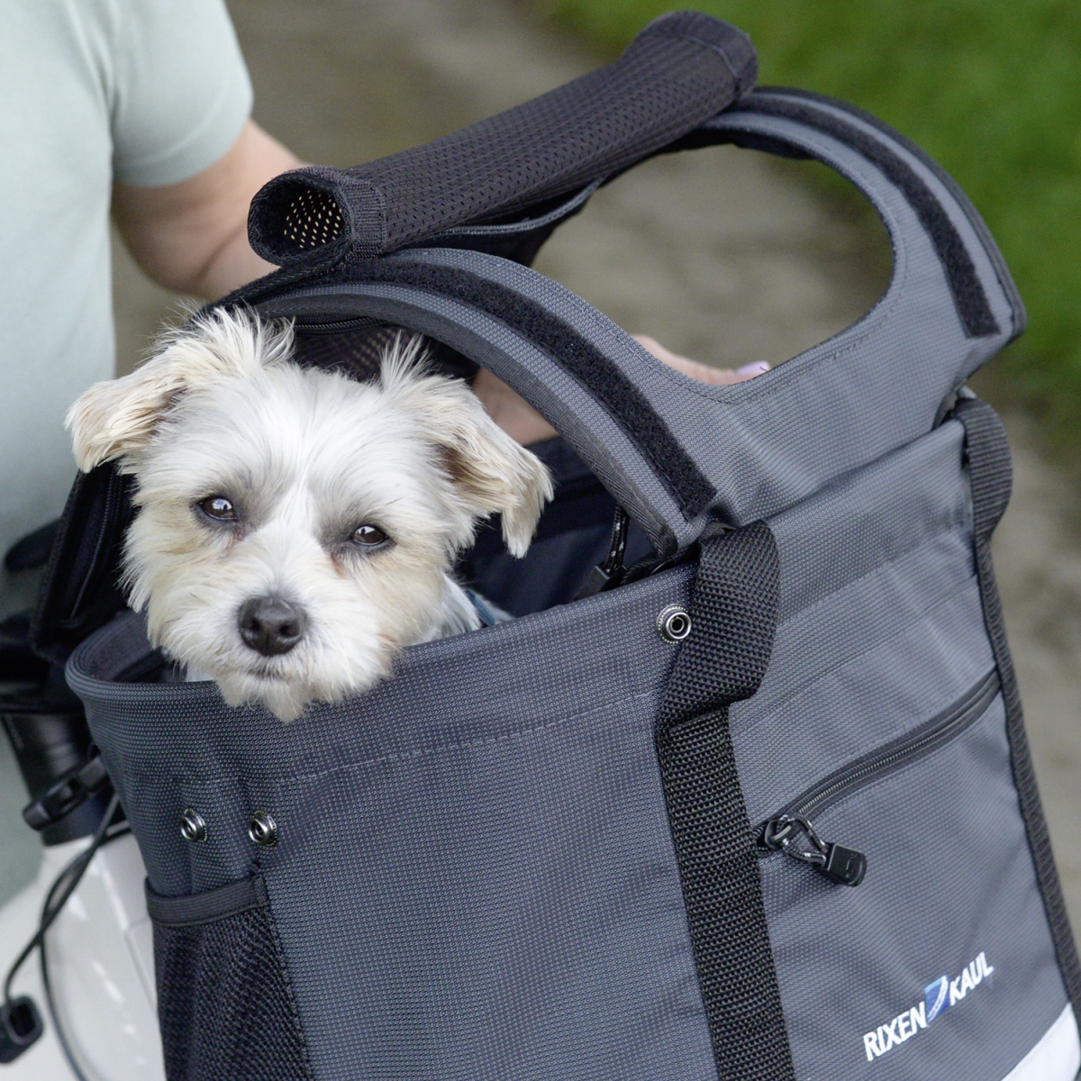 DOGGY SUNSHADE Sonnenschutz