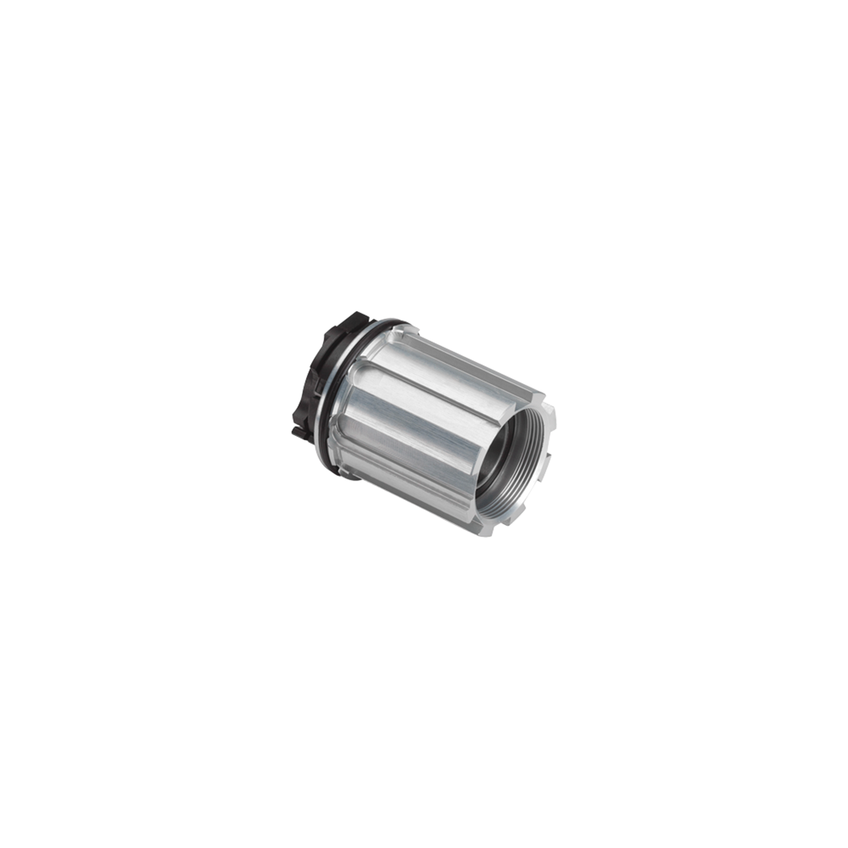 Elite Freilaufkörper Campagnolo für Rollentrainer