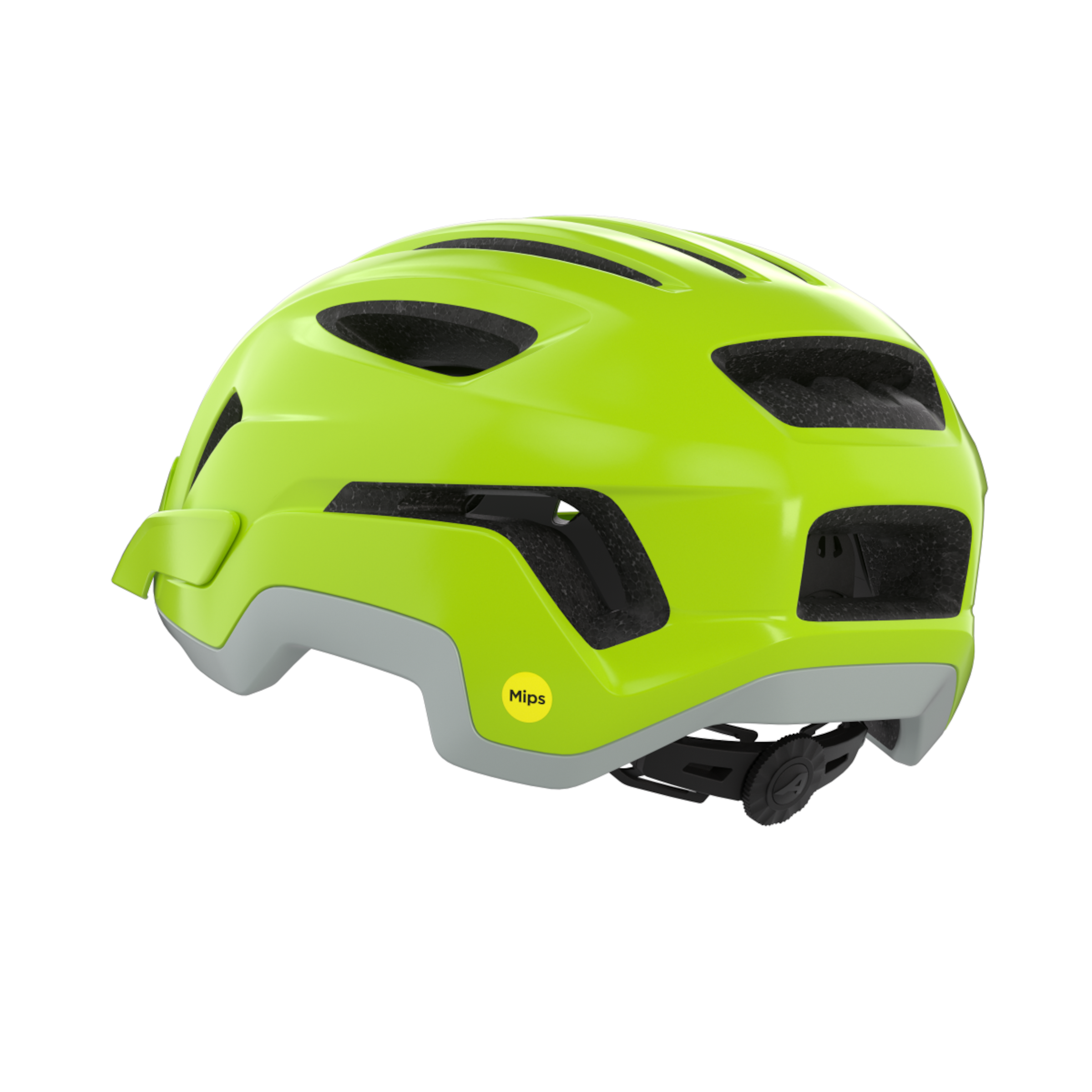 PARANUS MIPS Fahrradhelm 