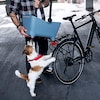 BUDDY Fahrradkorb für Hunde 
