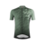 pine