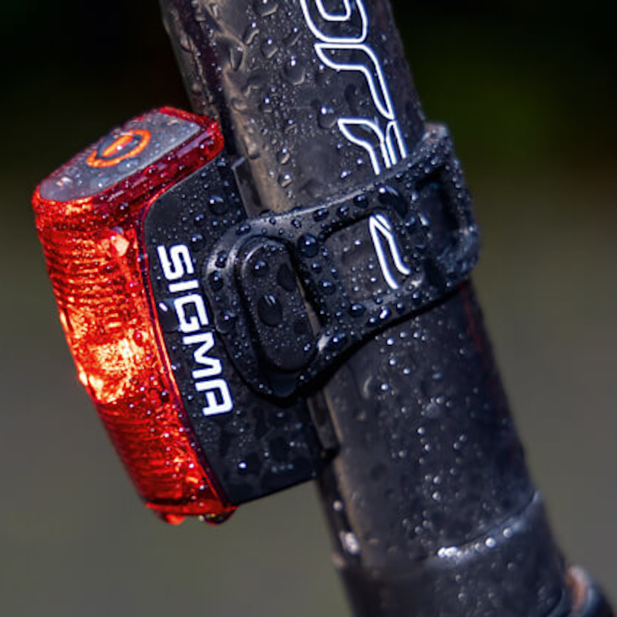 Replacement Holder for Rear Lights