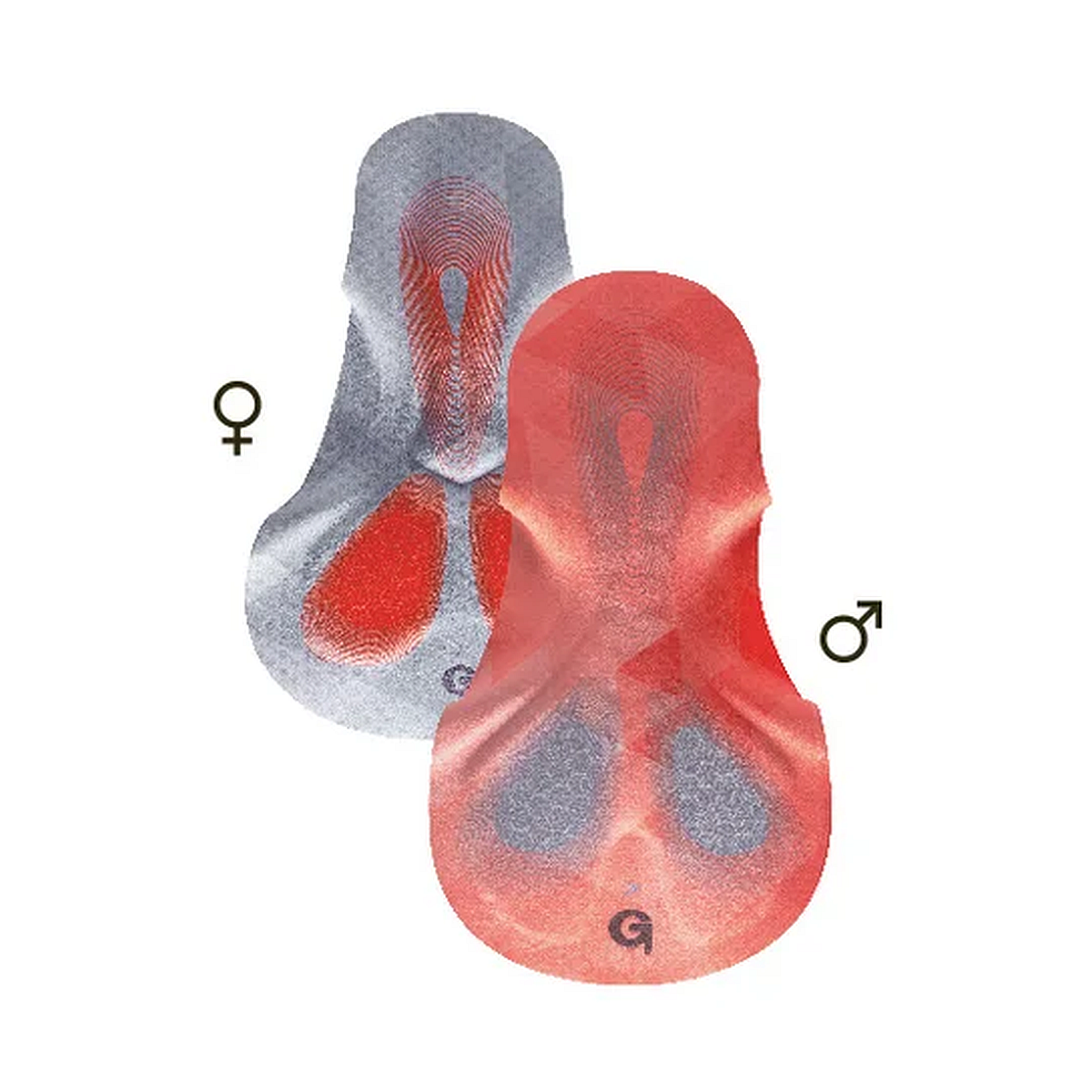 BASE PANT M Cycling Underpants