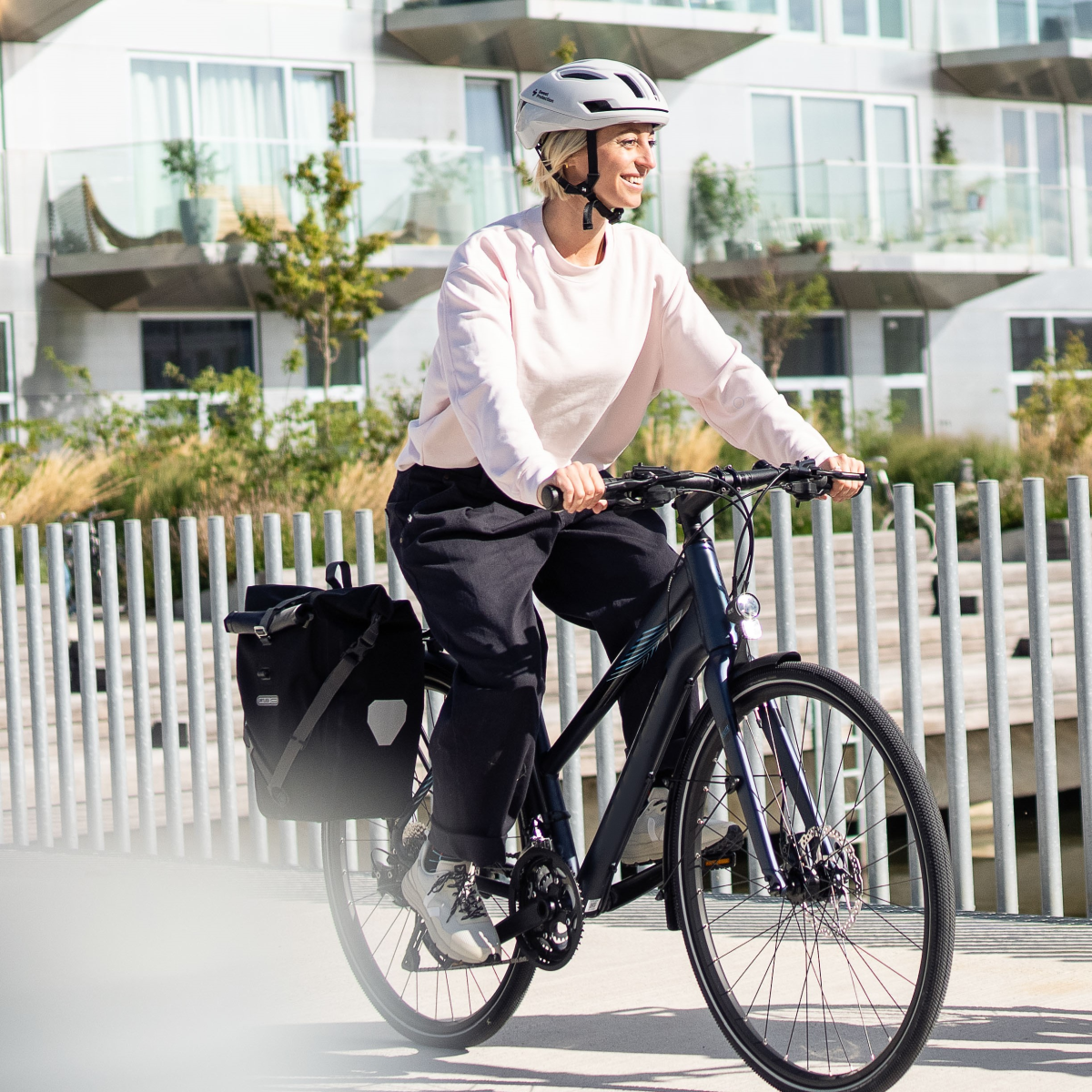 BACK-ROLLER PLUS Pannier