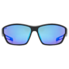 SPORTSTYLE 806 Sportbrille