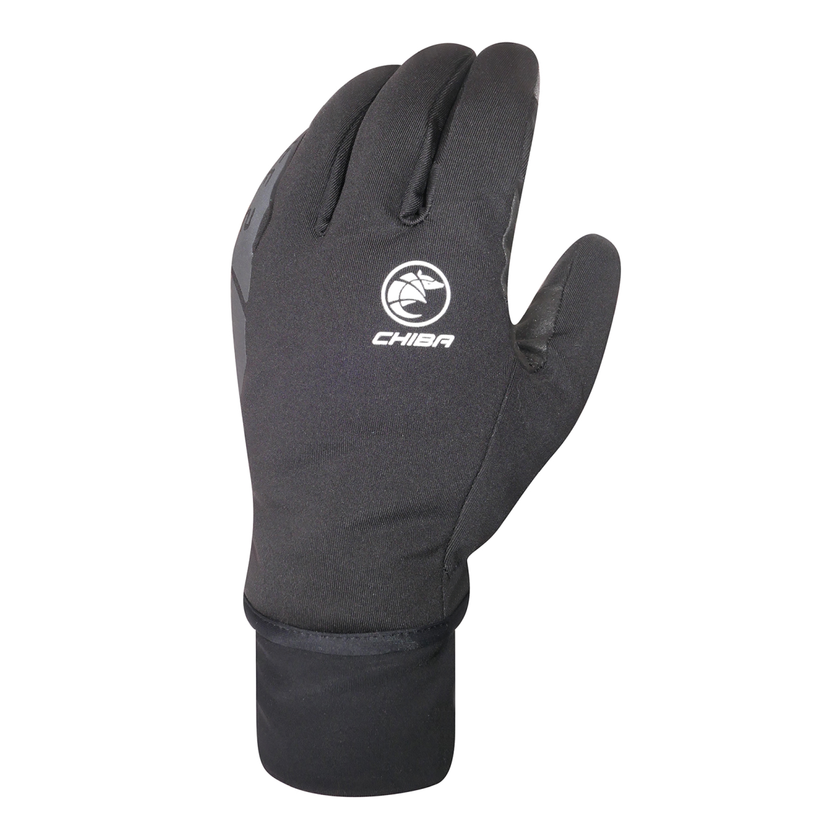 ICE II Winter Gloves