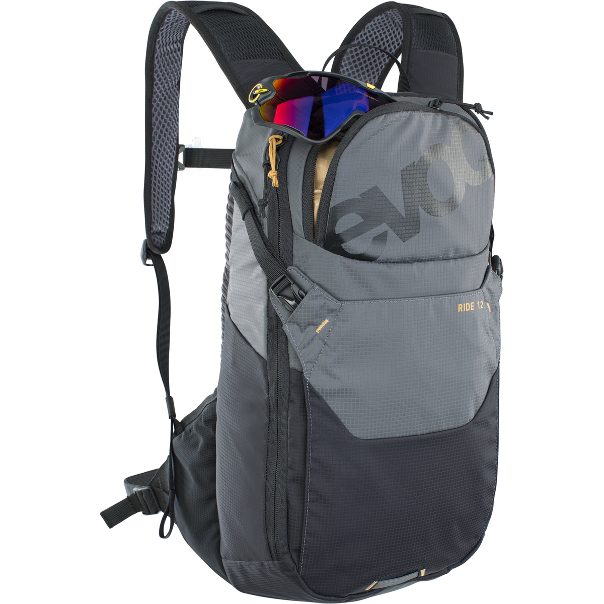 RIDE 12 Backpack
