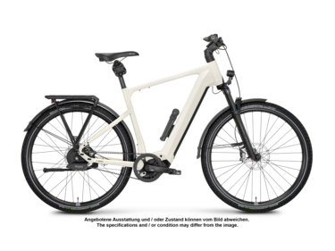 Mayor Plus 3 Testbike Größe : S (B-Ware)