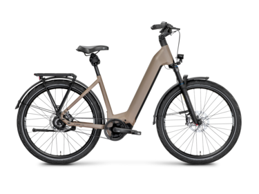 Mayor Plus 4