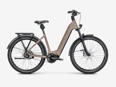 Mayor Plus 4