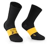 SPRING FALL SOCKS EVO Fahrradsocken