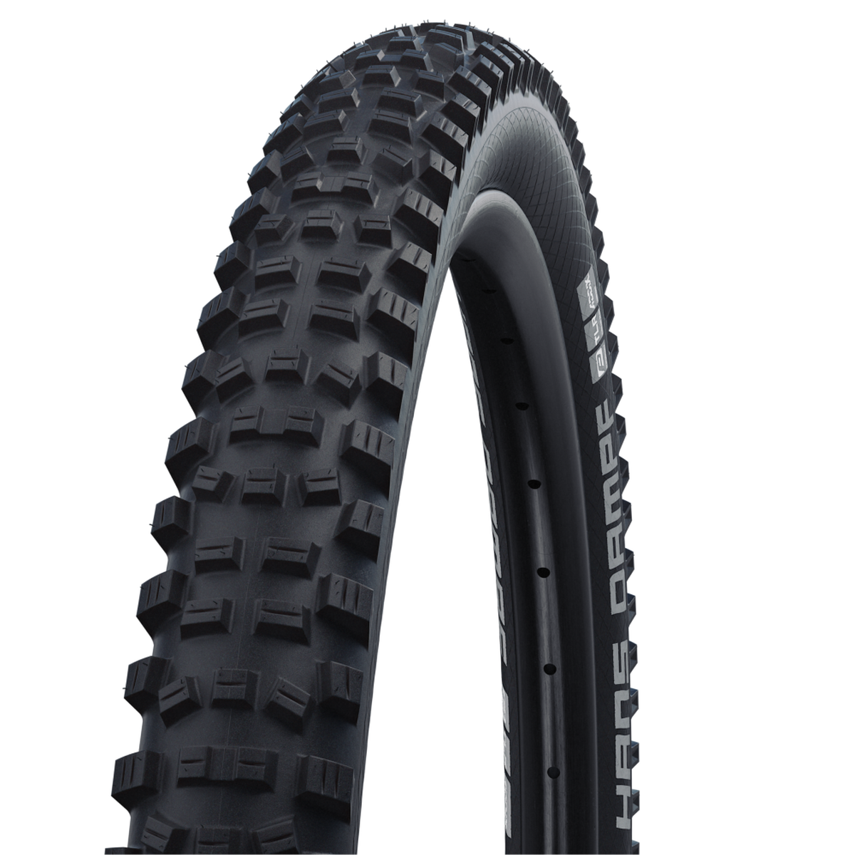 Schwalbe HANS DAMPF Performance Line MTB Faltreifen