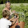 DOGGY BASKET KORBKLIP Hundekorb 