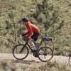 FRAME PACK WP M Rahmentasche