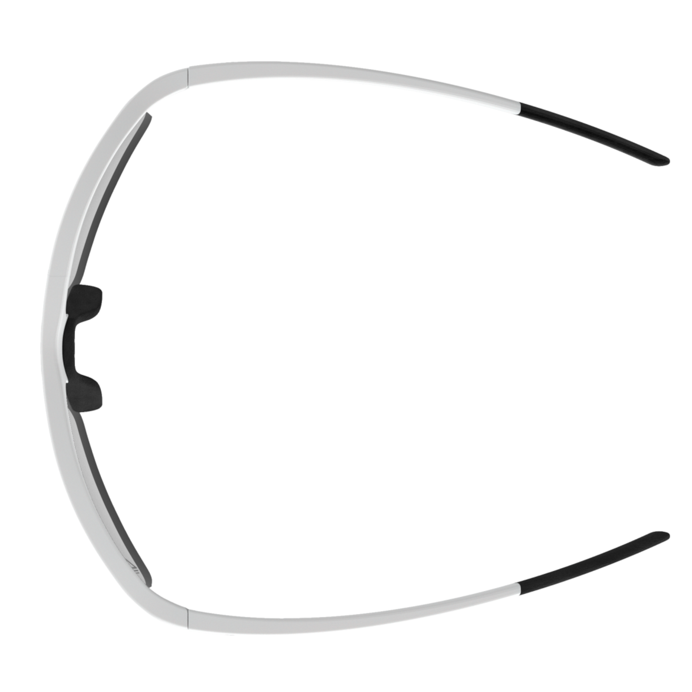 EAGLE V lunettes de sport