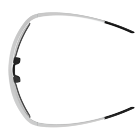 EAGLE V lunettes de sport