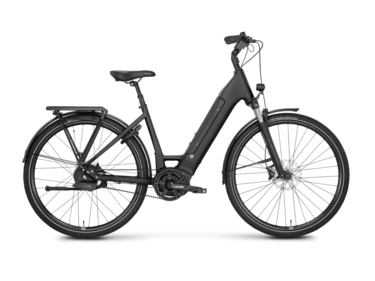 Xtra Watt Evo Plus 3 LowStep Testbike Größe : 17" (B-Ware)