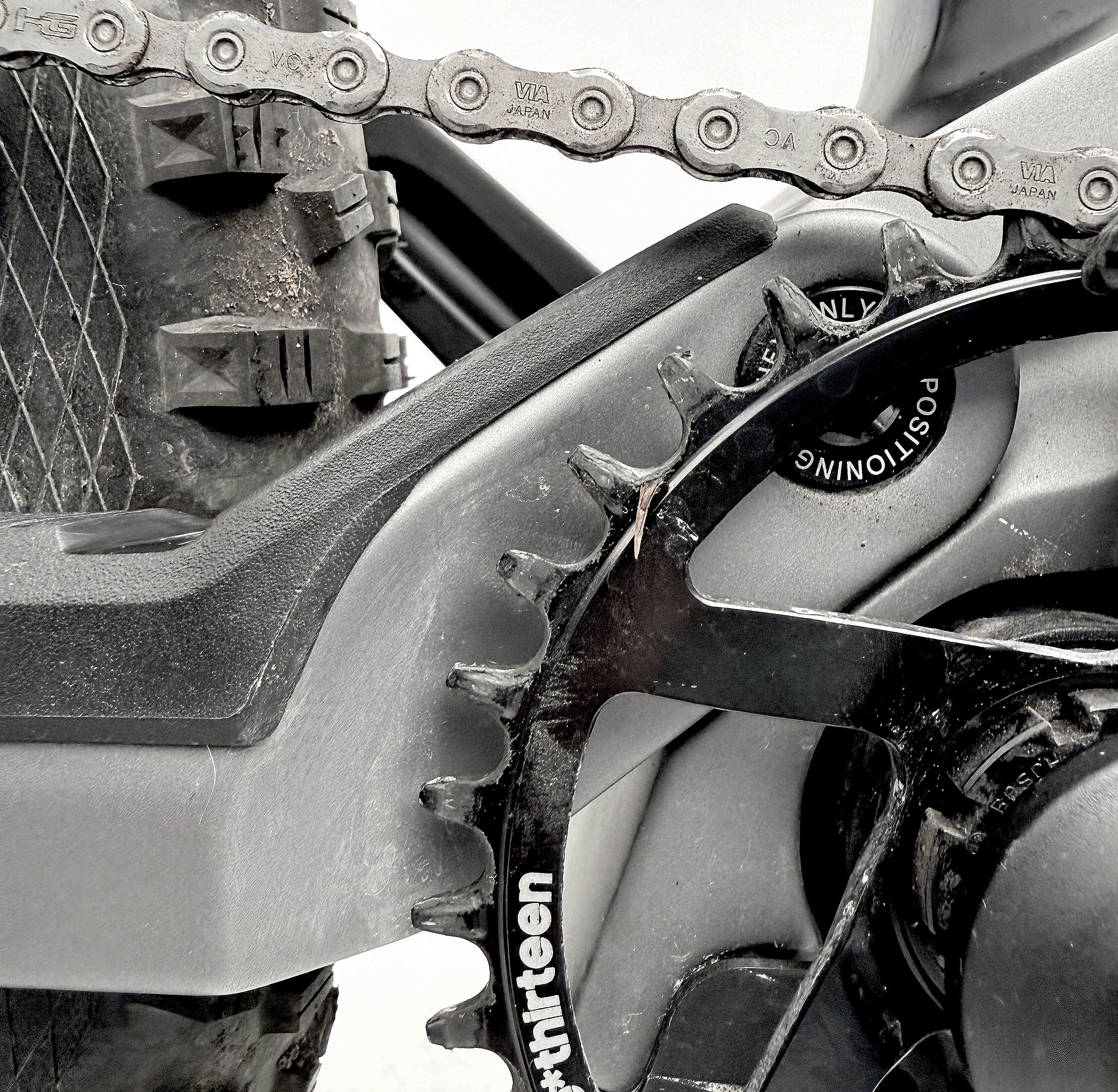 Root Miller Plus 2 Testbike Größe : L (B-Ware)