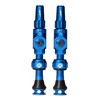 Big Bore Lite Tubeless Ventil