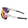JAWBREAKER Sportbrille