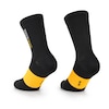 SPRING FALL SOCKS EVO Fahrradsocken