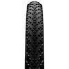 Race King Wire MTB-Drahtreifen