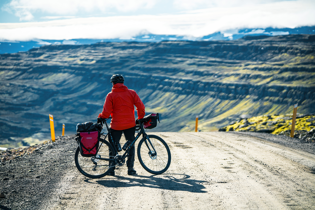 BACK-ROLLER Set Consisting of Two Panniers