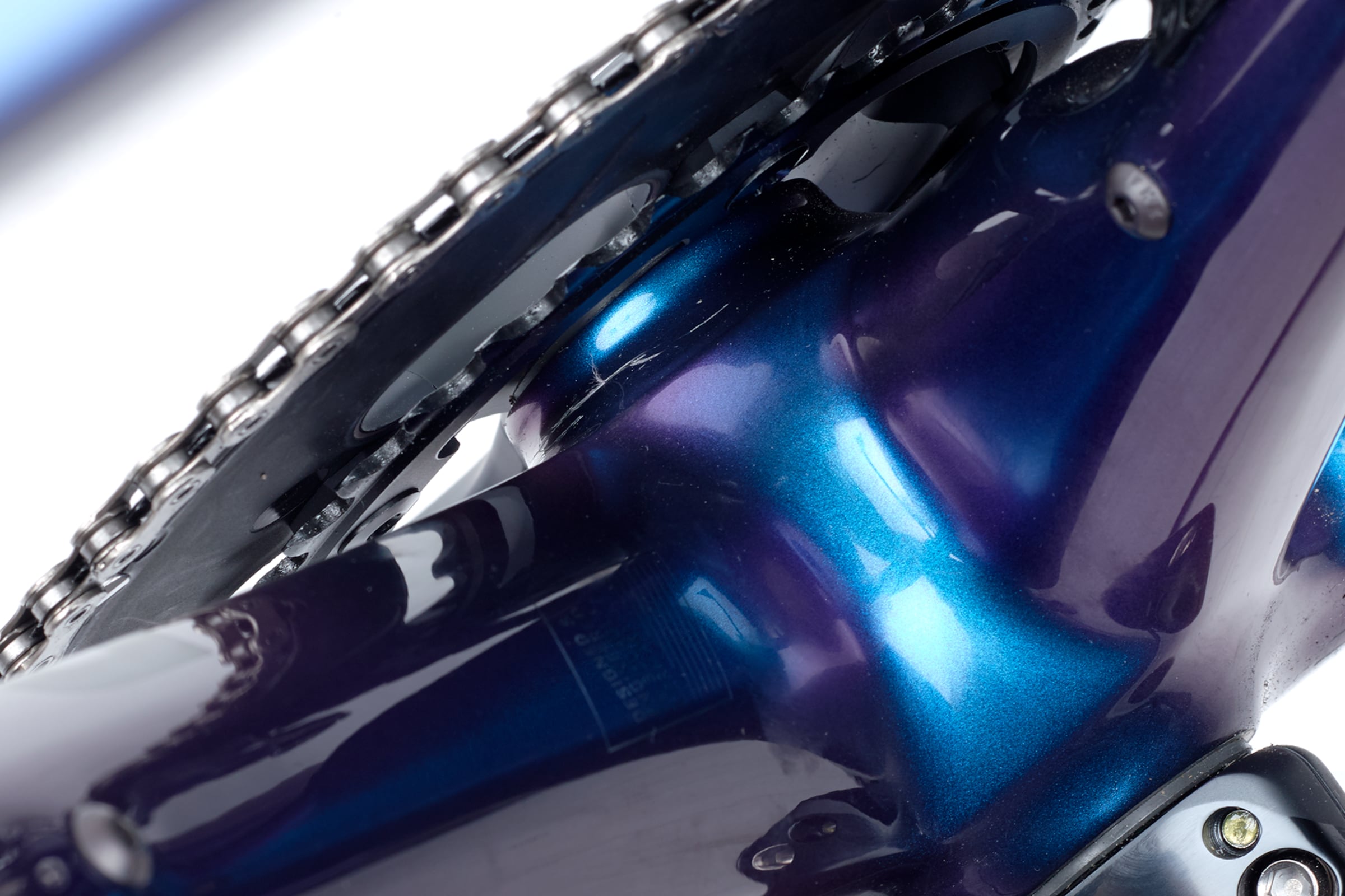 rose reveal four disc